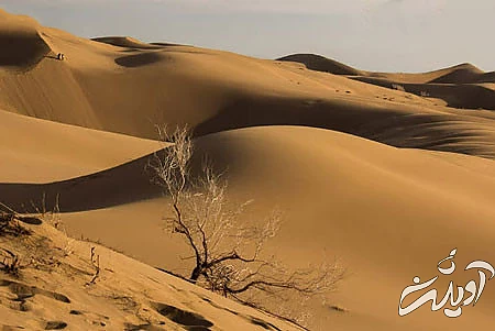 شهرستان آران و بیدگل آران و بیدگل, شهرستان آران و بیدگل, جاهای دیدنی آران و بیدگل